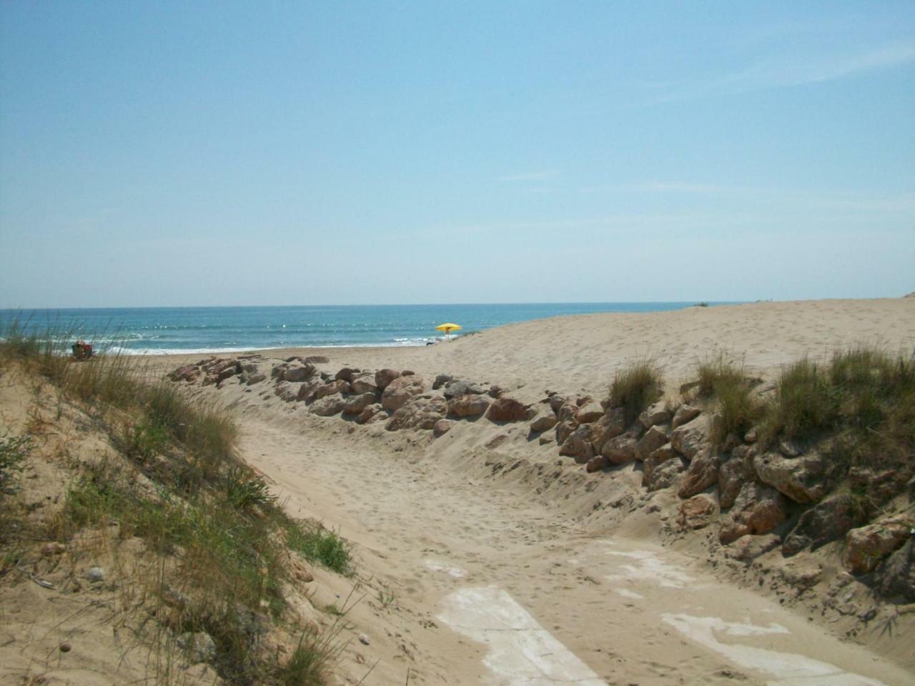 Neptuno Apartamento - Frente A La Playa Daimus Ngoại thất bức ảnh